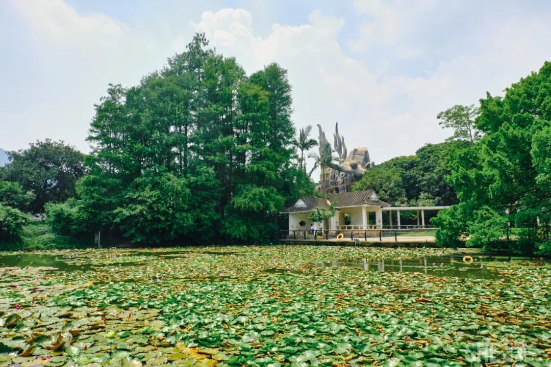 现在的蛇口,南头蛇口