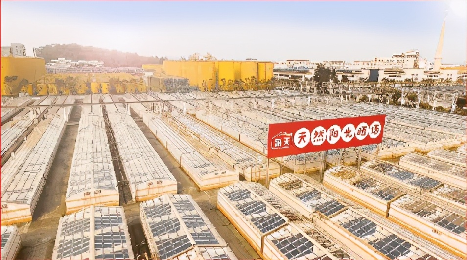 海天味极鲜和蚝油,味极鲜和海天哪个炒菜好吃