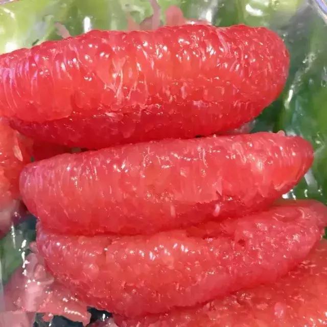 今日泰国红宝石柚苗价格,泰国红宝石柚树苗多少钱一棵