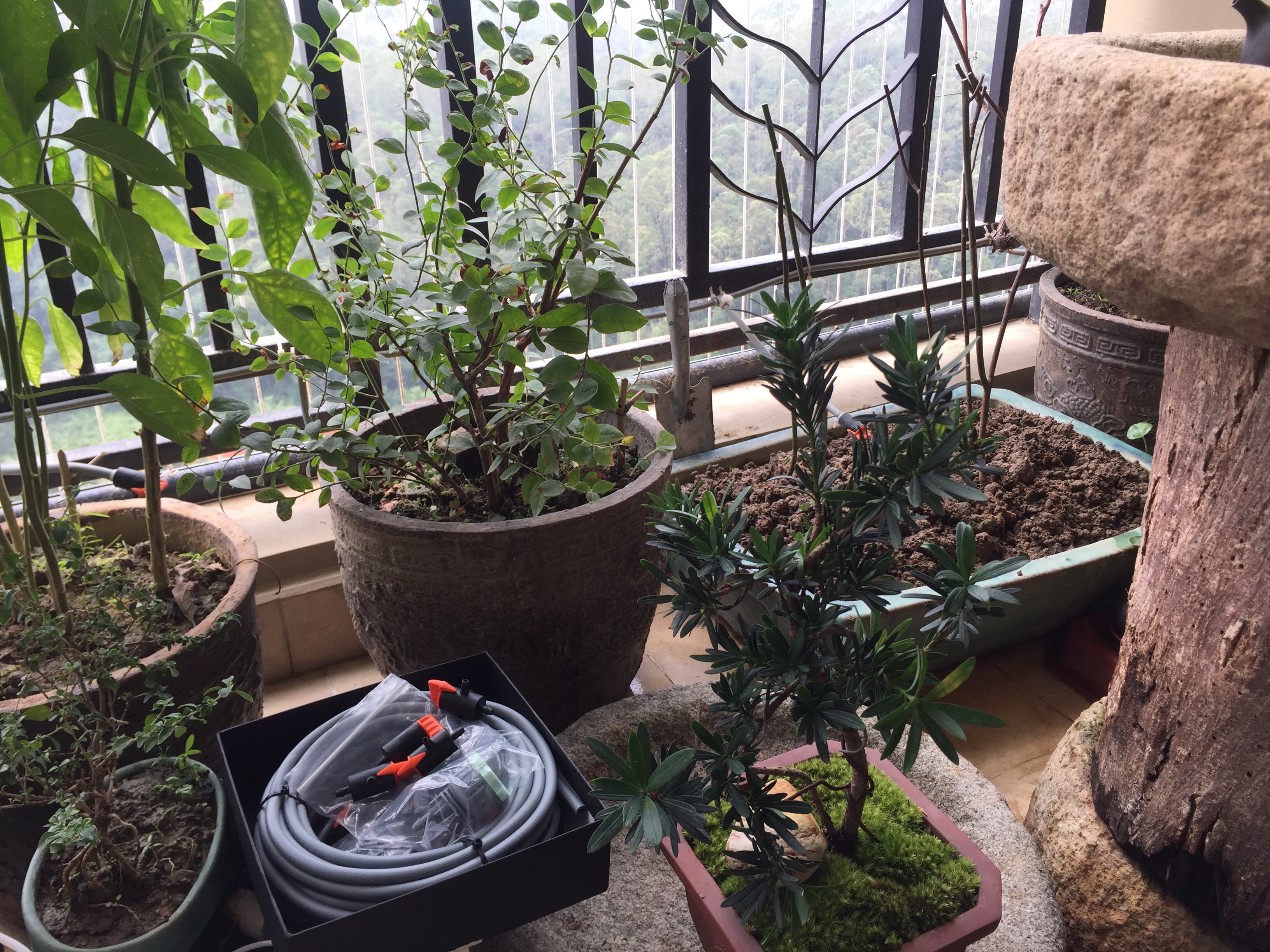 自动浇花器家用园艺智能定时控制,自动浇花器功能介绍