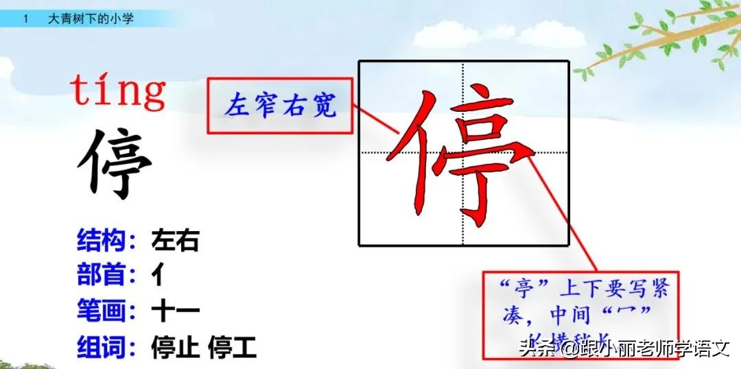 大青树下的小学重要背诵内容,大青树下的小学必会知识点