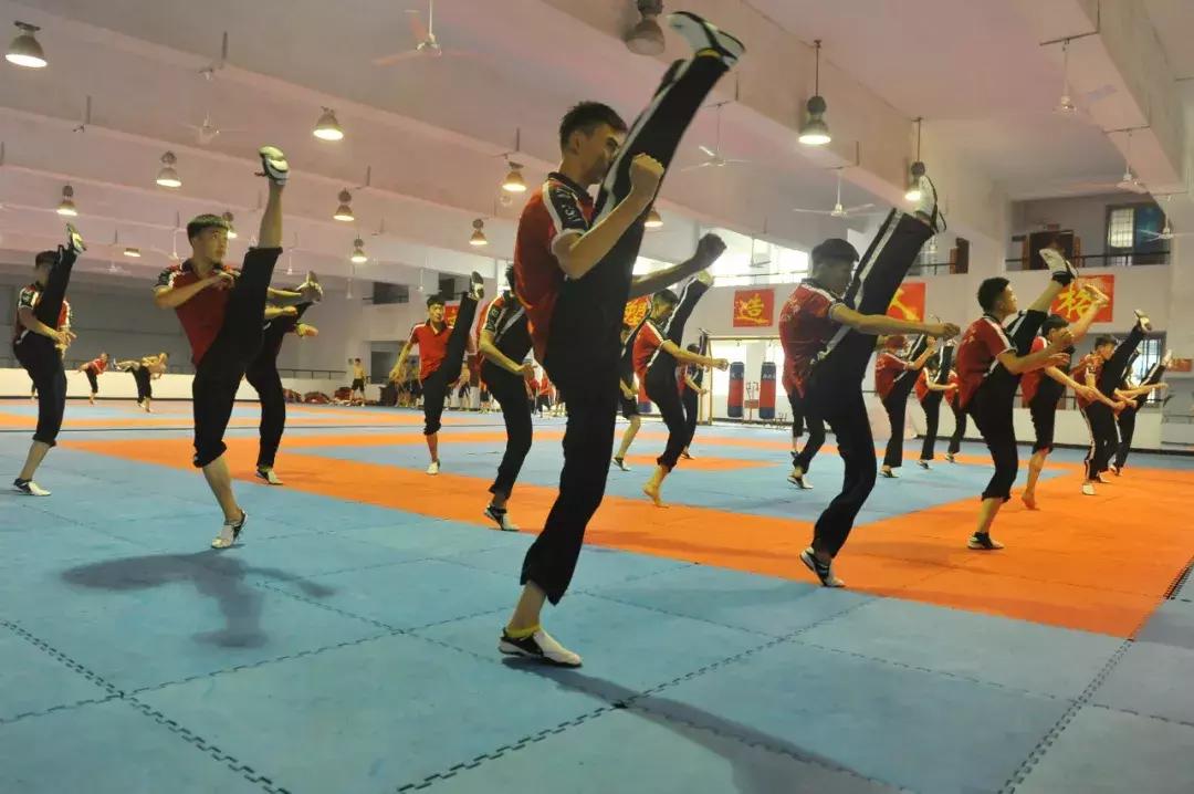 学会散打的技巧要多久,学会散打教程