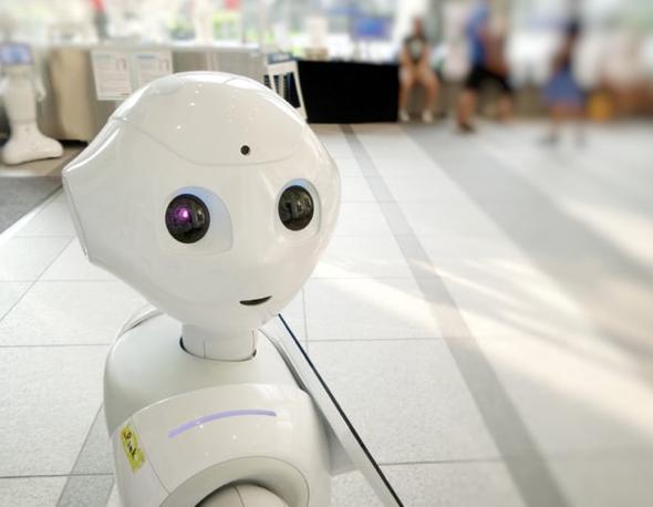 经济增长中的资本积累与技术进步