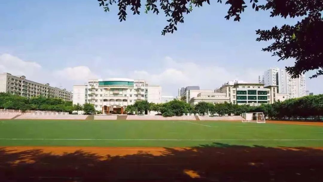 勇夺桂冠载誉归来,摘金夺银创佳绩