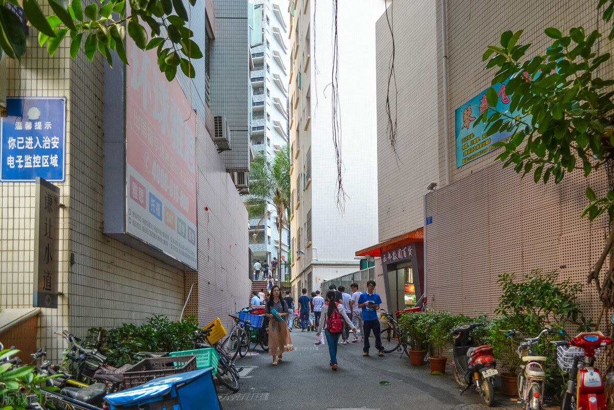 深圳集中抛售23套学区房,深圳学区房价格回调成交量回暖