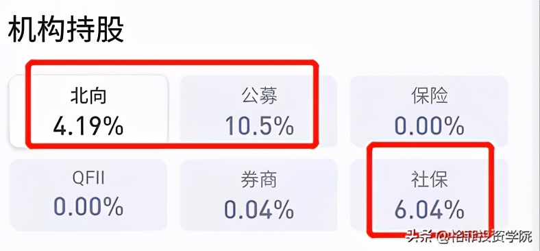 青松股份投资,青松股份投产