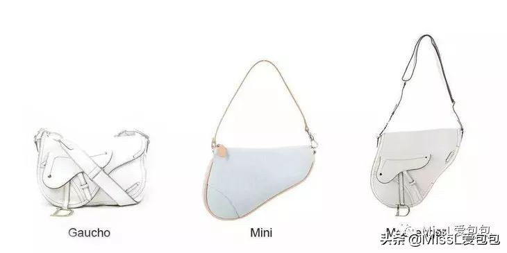 diorsaddle包全金,diorsaddle大包