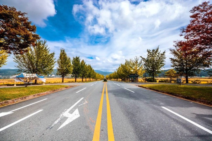 佳通轮胎和盾轮轮胎哪个质量好,佳通轮胎哪个品牌性价比高