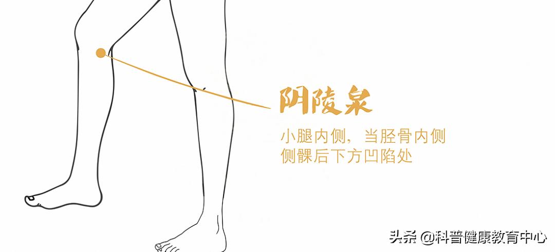 脾虚湿重肥胖吃什么药治疗,脾虚湿重肥胖喝什么