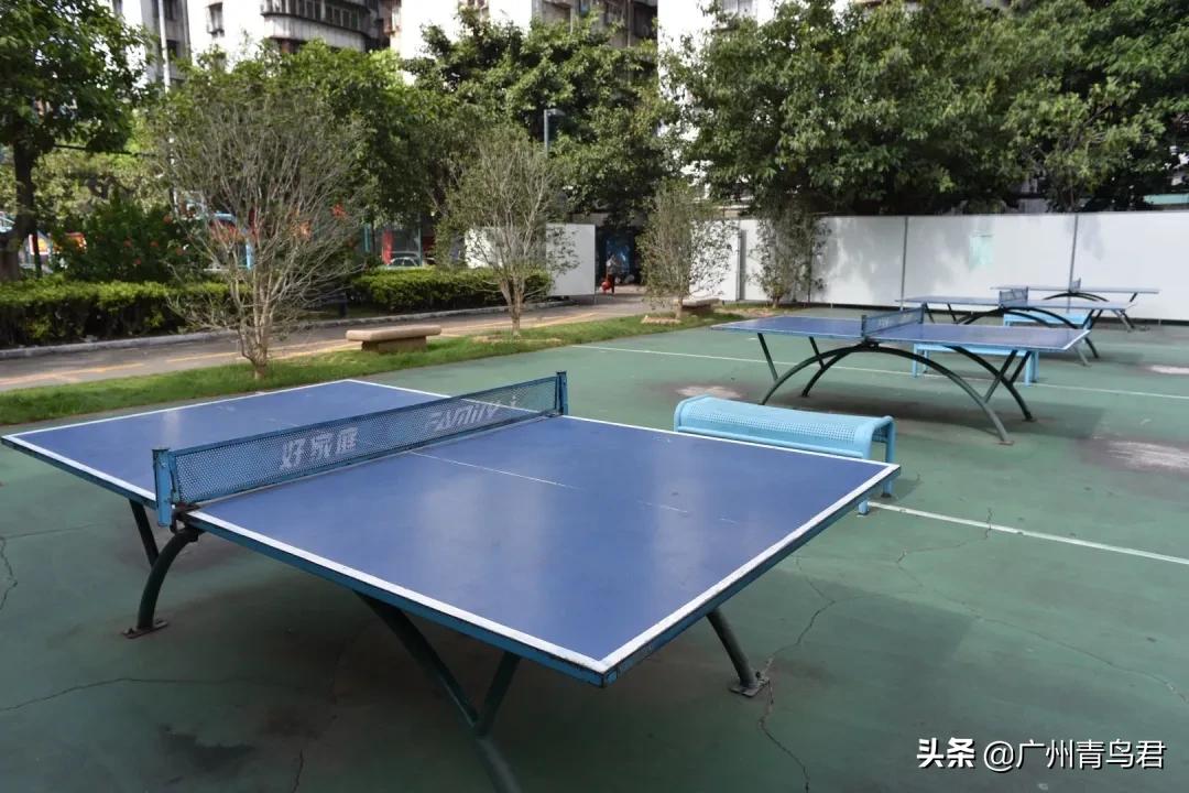 广州哪里有隐藏的秘密基地,广州隐秘的角落