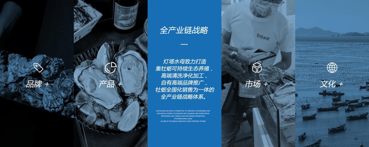 灯塔水母真相,灯塔水母解剖