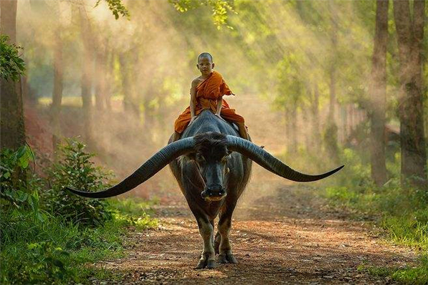 泰国旅游佛牌是真的吗,泰国之旅佛牌