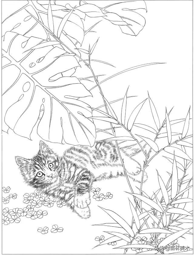 国画工笔猫白描,邢诚爱工笔画猫白描底稿