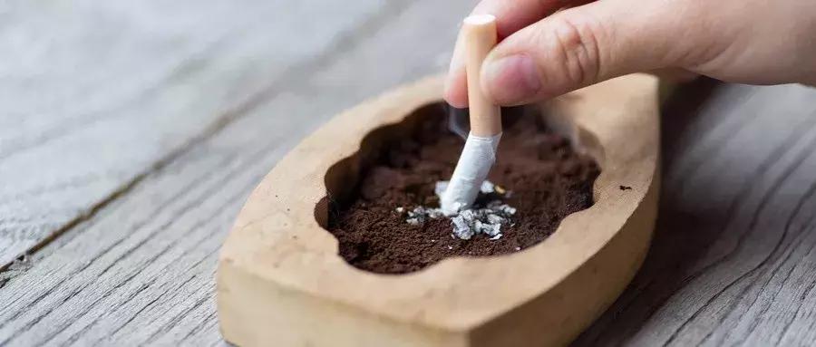 为了“芙蓉王”香烟上的logo，退休职工把湖南中烟公司告到了法院