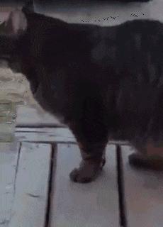 捡到了u盘里面会有什么,捡到一个u盘还好没有用