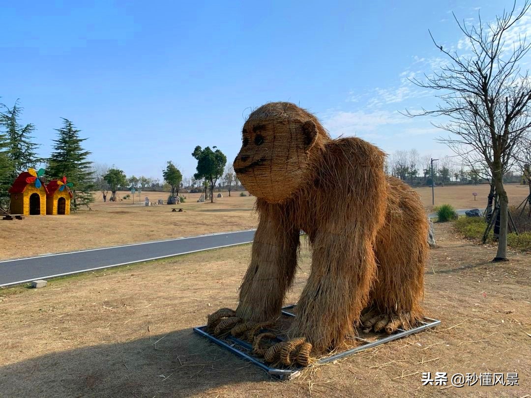 最近合肥的旅游景点推荐,合肥必去五大旅游景点推荐