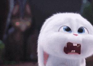 莫名拉肚子吃什么药,莫名其妙拉肚子又很容易上火