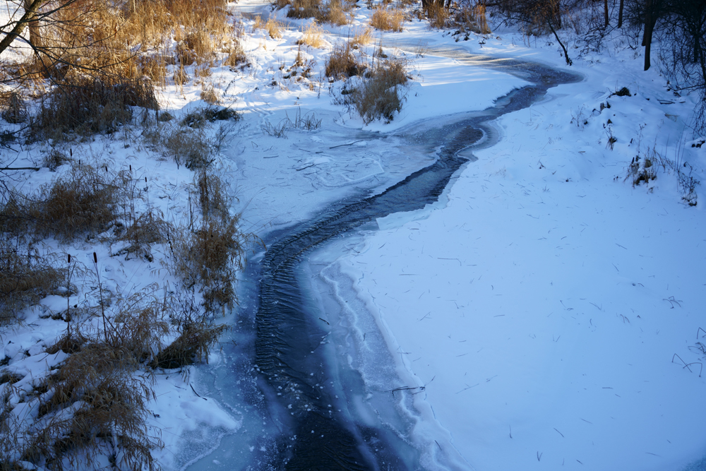 加拿大天气不光冷，也热死人，也四季如春