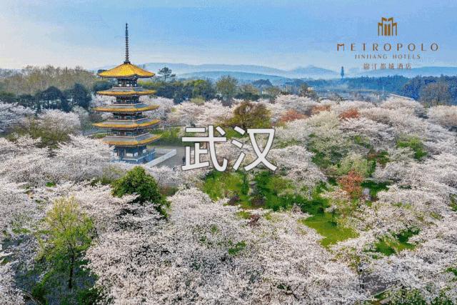 上海锦江都城经典南京东路酒店,锦江都城酒店下午茶时间