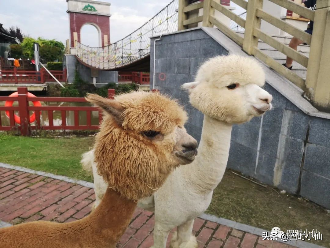 极简风网红民宿,8家网红民宿推荐