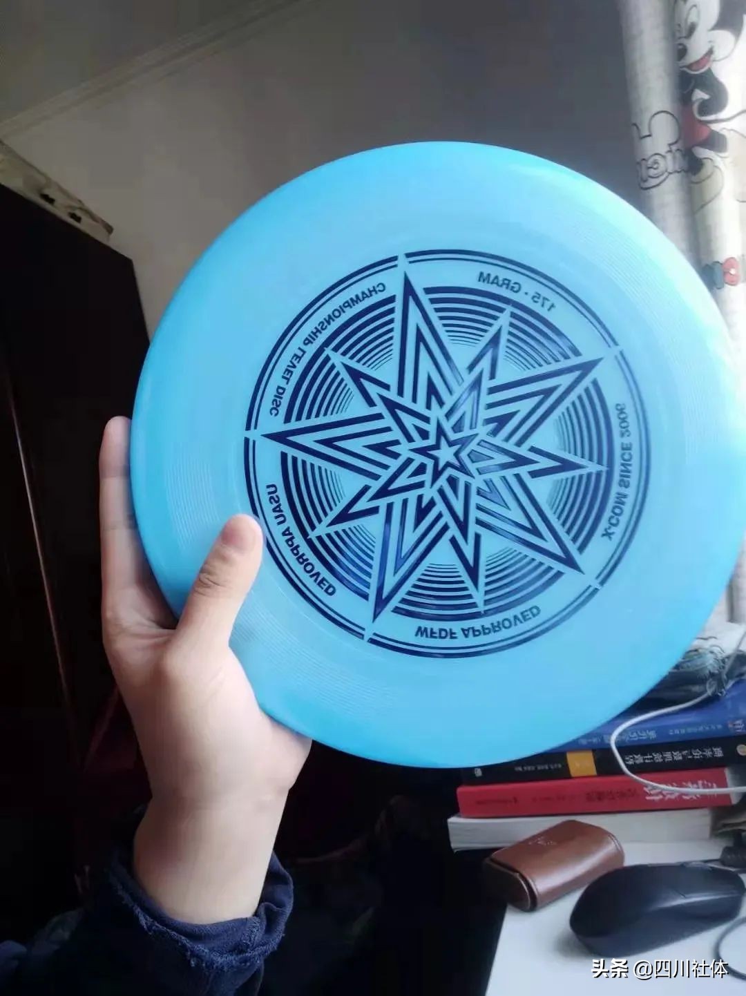 所有的飞盘怎么玩,极限飞盘玩