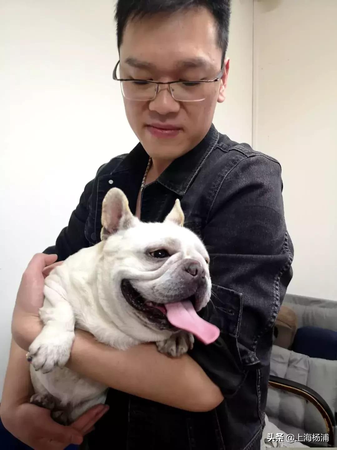 狗狗迷路自己跑进派出所报案,宠物狗狗报警