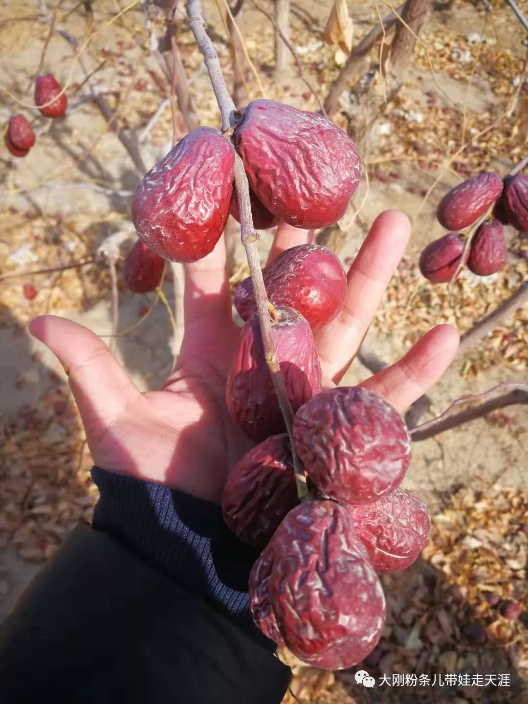 舌尖上的中国旅行,跟着舌尖上的中国去旅游