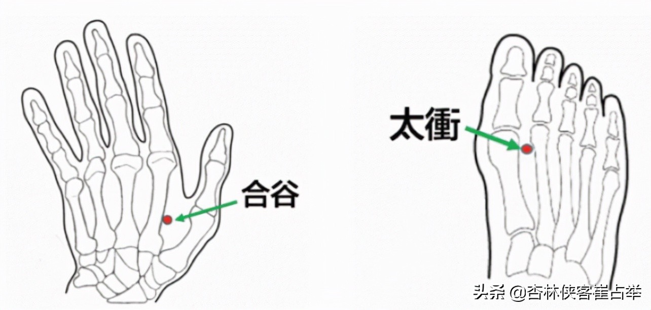 痛症总论——痛点不固定、全身痛、全身肌肉痛,三步走帮你改善