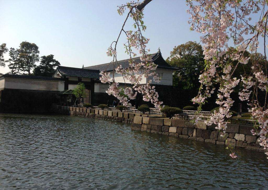 三月春雪如约而至,日本东京的樱花几月份最好看