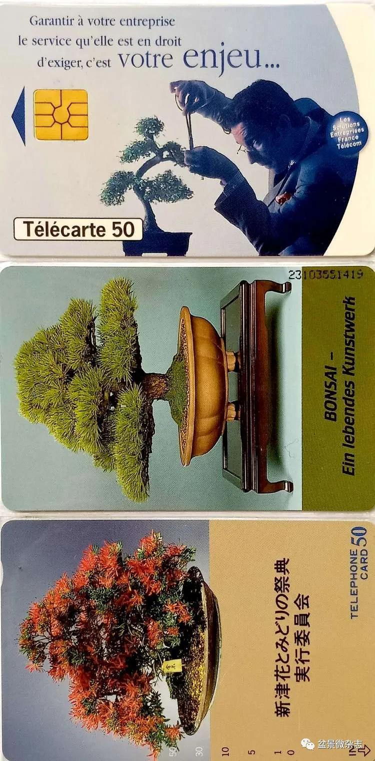 鐩嗘櫙鑱旂郴鐢佃瘽鍙风爜,涓鐩嗘櫙鑱旂郴鏂瑰紡