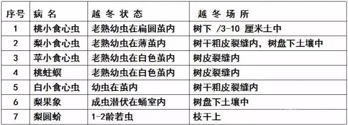 果树清园到底用什么药最好,冬季蜜柚清园管理要点