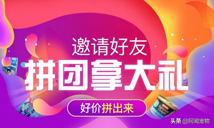 看完猫你还想养吗,养猫咪怎么最省钱也能吃好