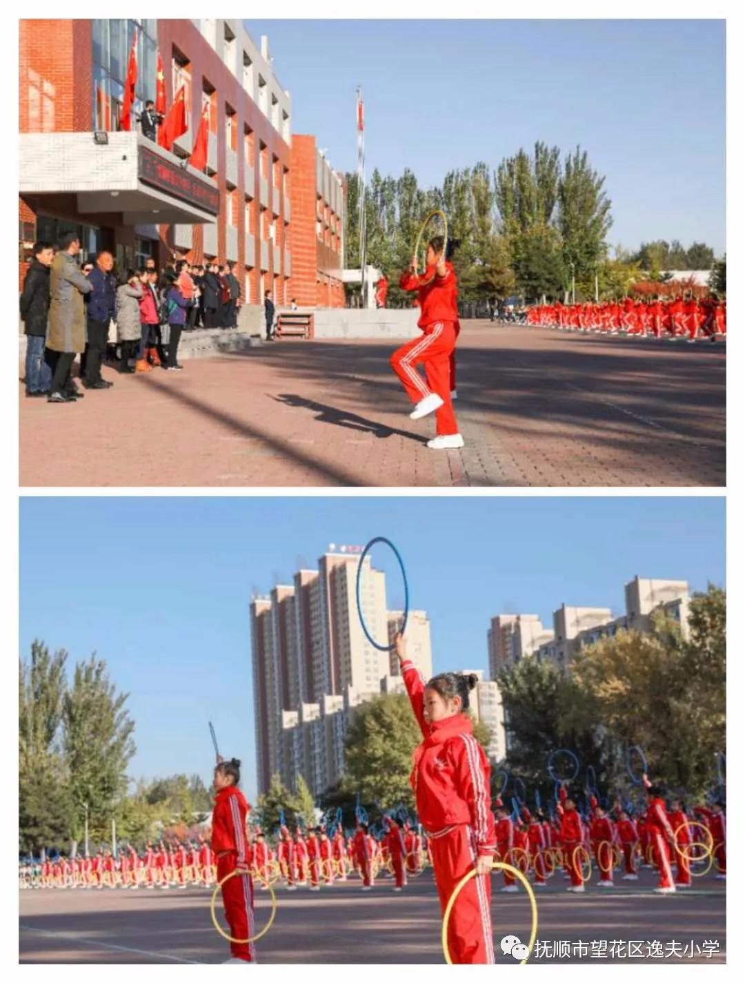 鸿鹄展翅壮志凌云,鸿鹄展翅凌云志鹏程万里