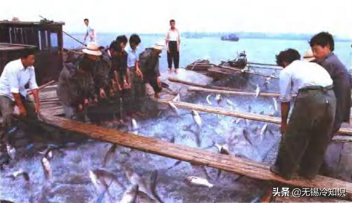 当年的无锡老照片,老照片那些关于江苏无锡的记忆