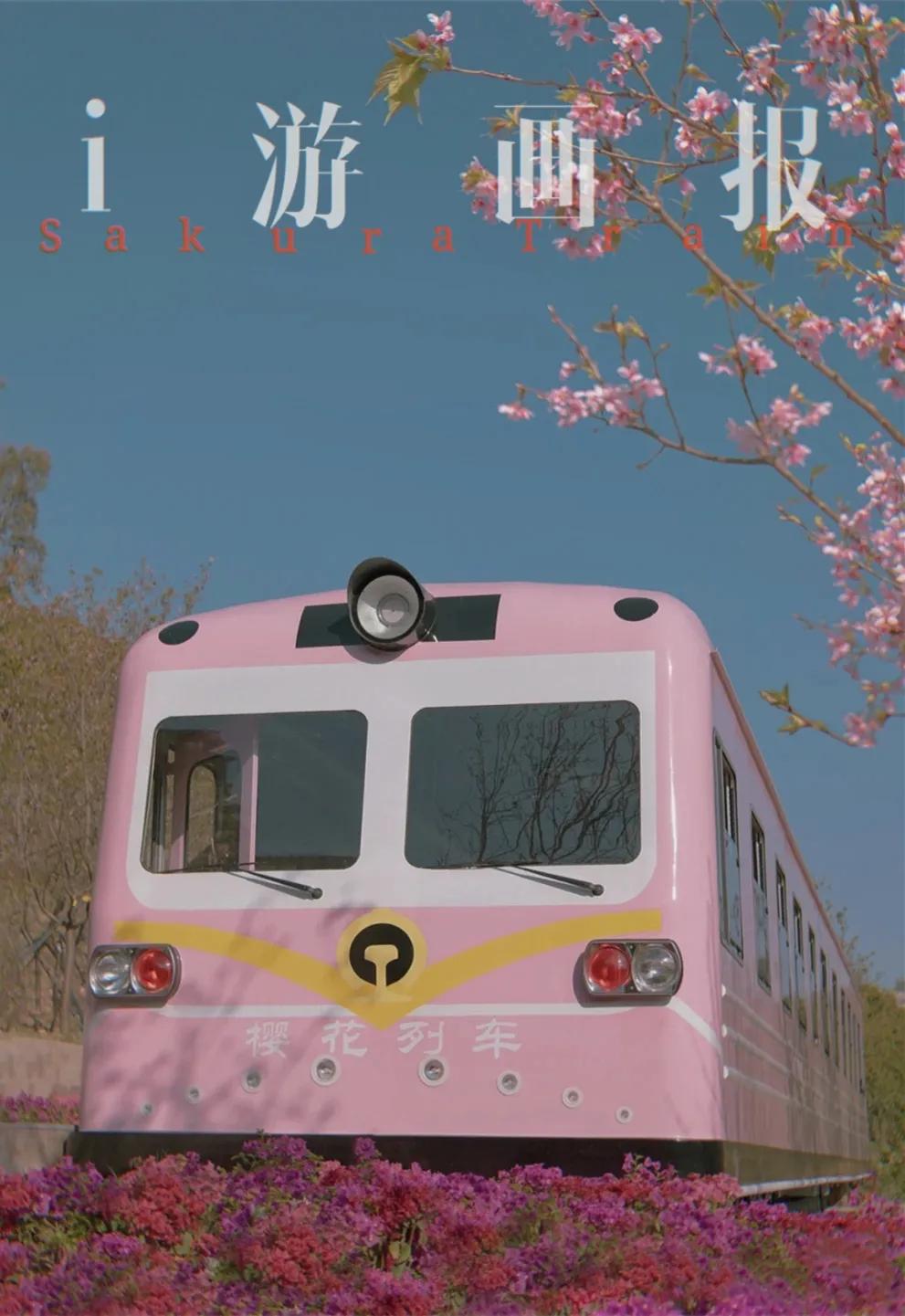 深圳樱花专列,深圳蛇口樱花列车