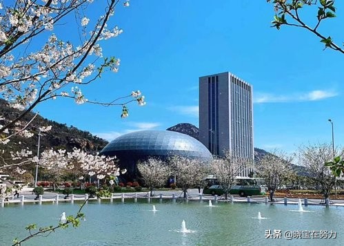 连云港市区酒店排行榜,江苏连云港酒店推荐