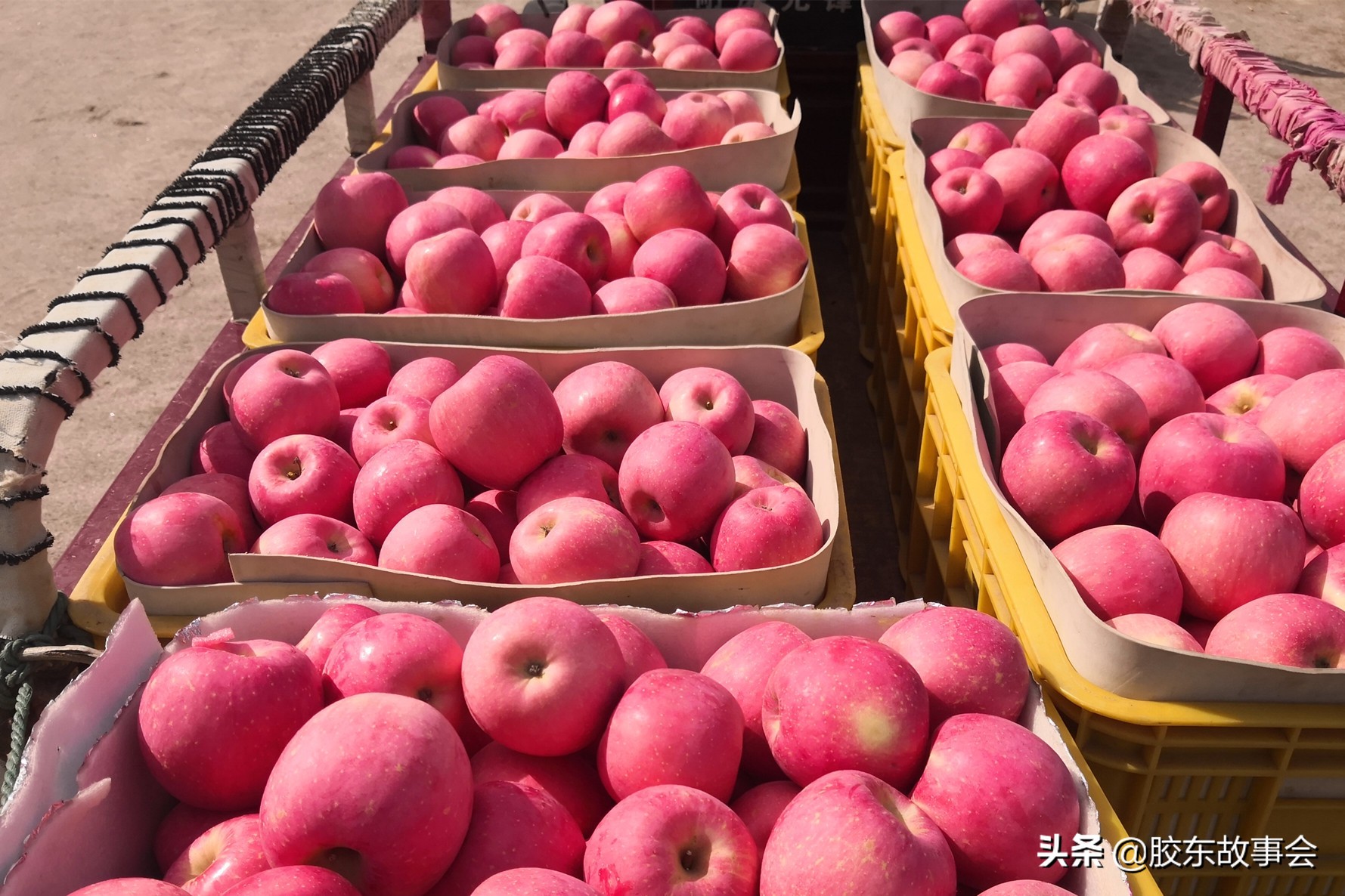 烟台栖霞95后的姑娘,95后姑娘回忆童年