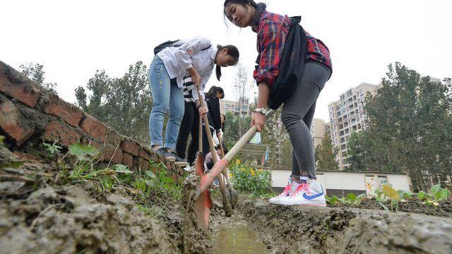 四川大学第五轮学科评估专业排名,四川大学第五轮学科评估最新