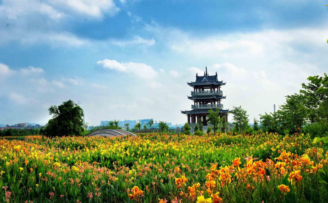 东莞麻涌大湾区,东莞麻涌田园生活