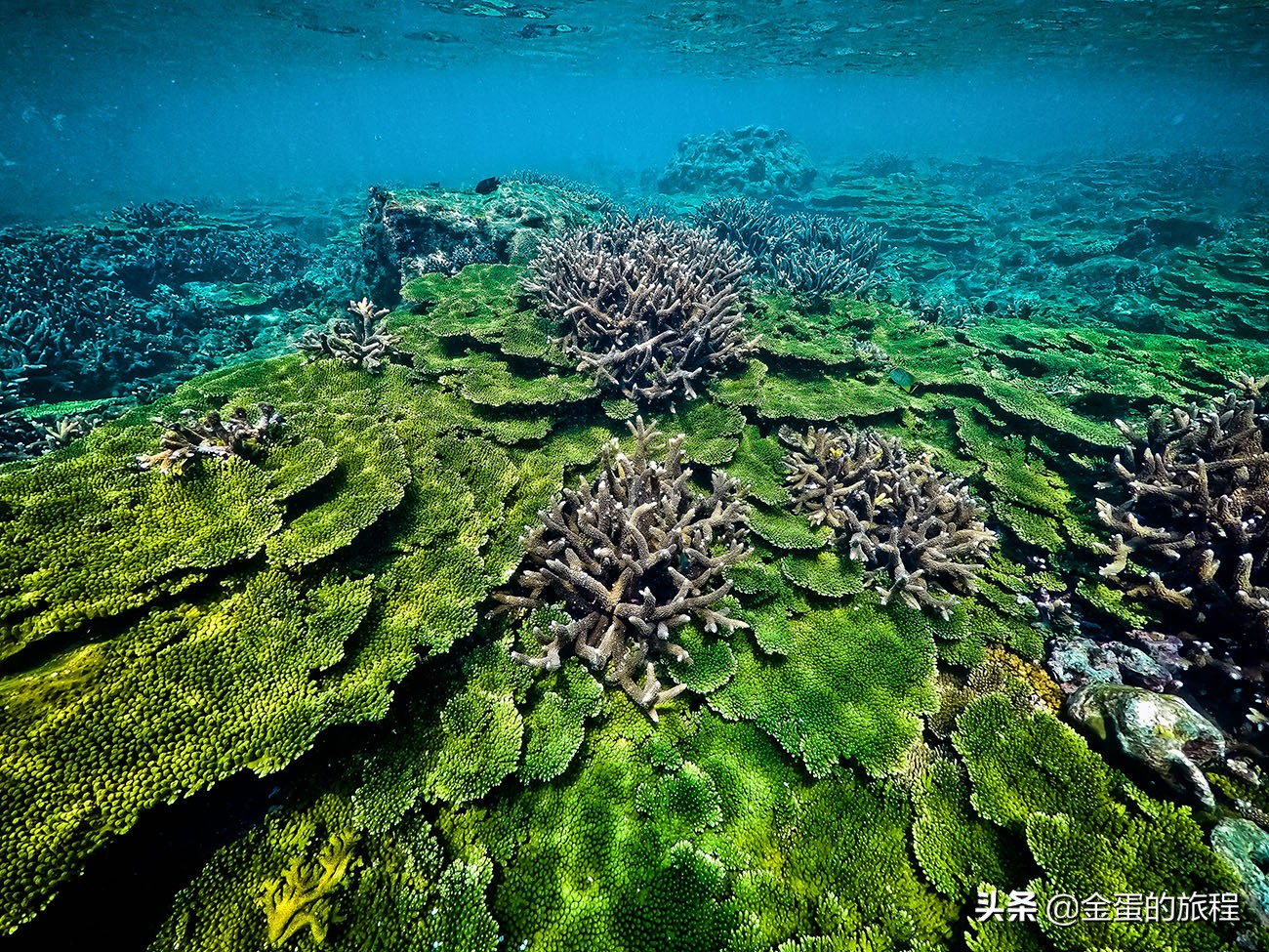 台湾海岛澎湖列岛介绍,台湾最美澎湖列岛岛屿