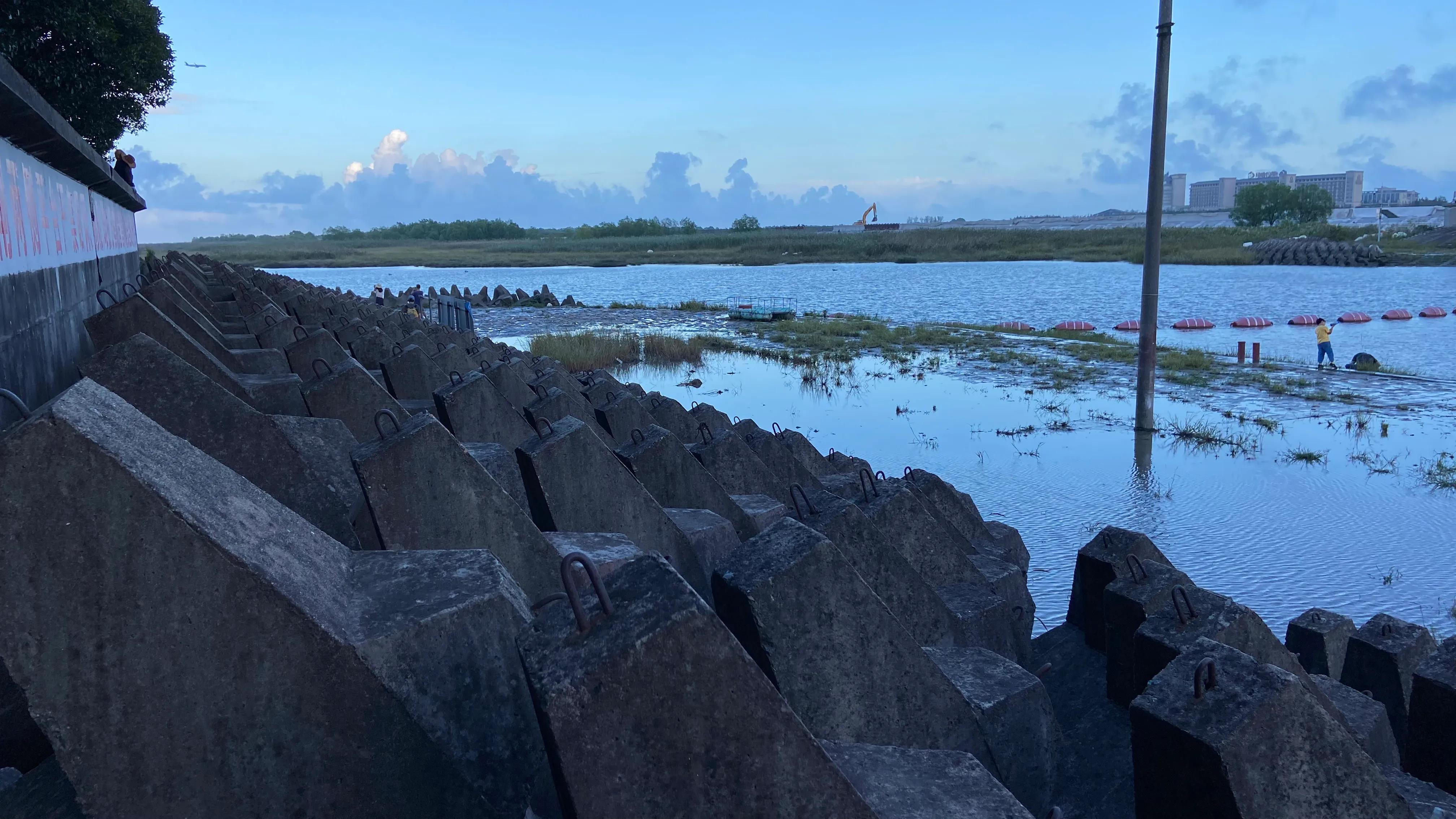 上海看美丽的大海,上海哪里有海滩看大海免费