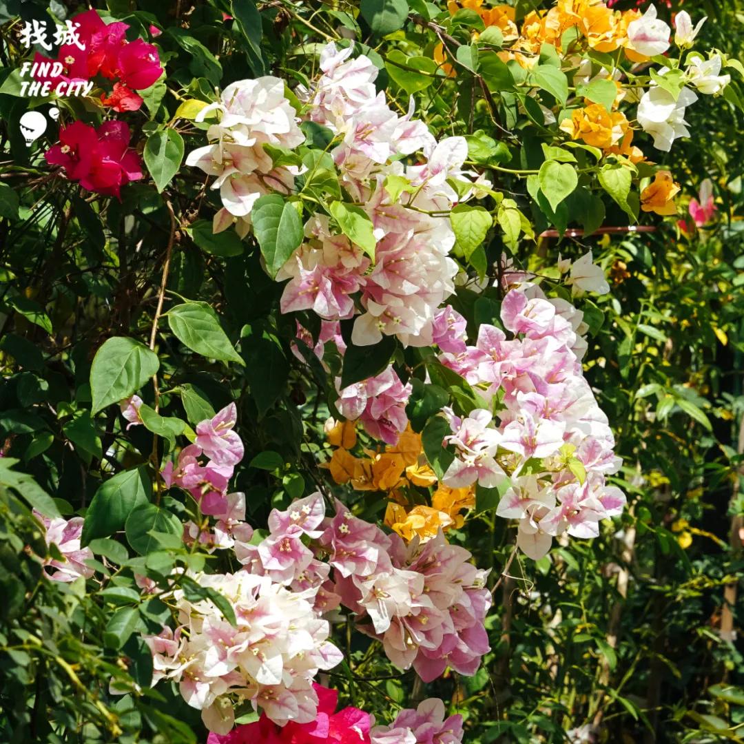 南宁最好的批发市场,南宁最便宜的家具批发市场在哪里