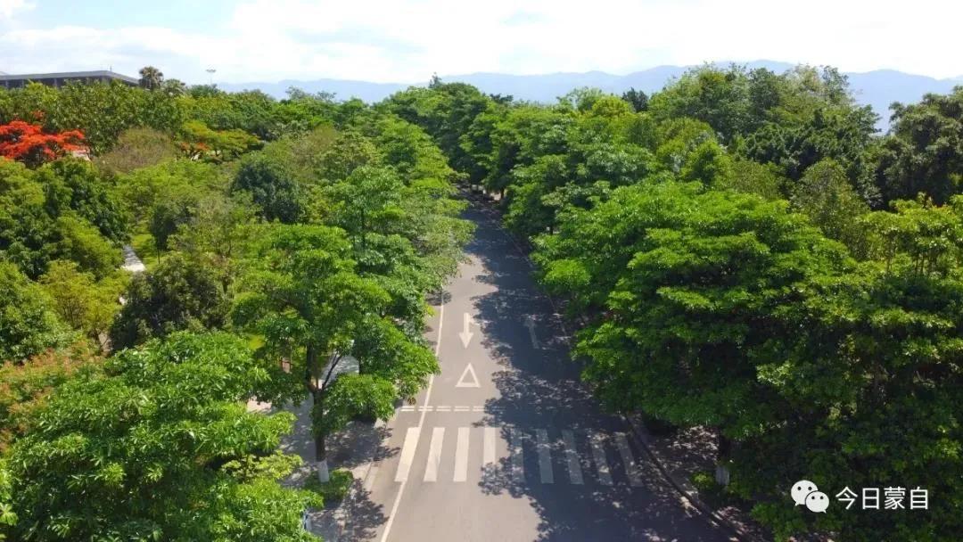 云南18个县城被评为天然氧吧,中国云南天然氧吧城市有哪几个