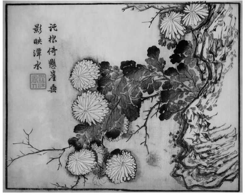 国画菊花的简单画法步骤图片,国画入门零基础自学画菊花