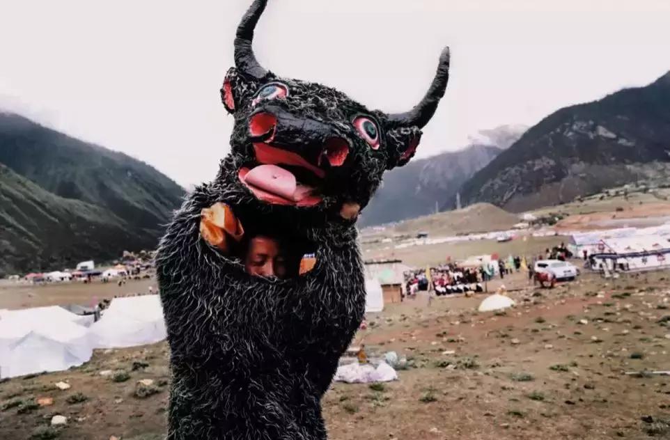 神秘的藏地精灵，米拉子子与米拉的故事