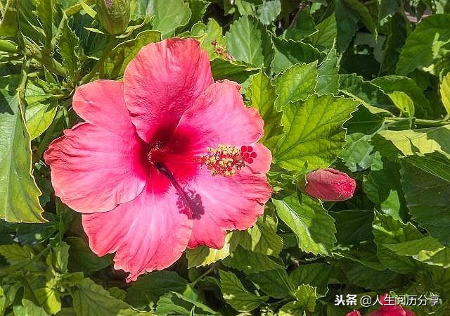 人生格言经典短句励志正能量,正能量人生格言励志短句大全