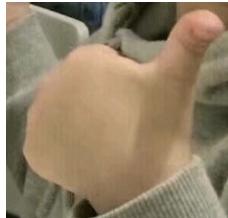 美国奥运会冠军最多的大学,美国奥运奖牌最多的大学