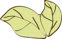 “DoctorFor-A-Day”：小问号携手知名品牌-新加坡“百汇医疗”