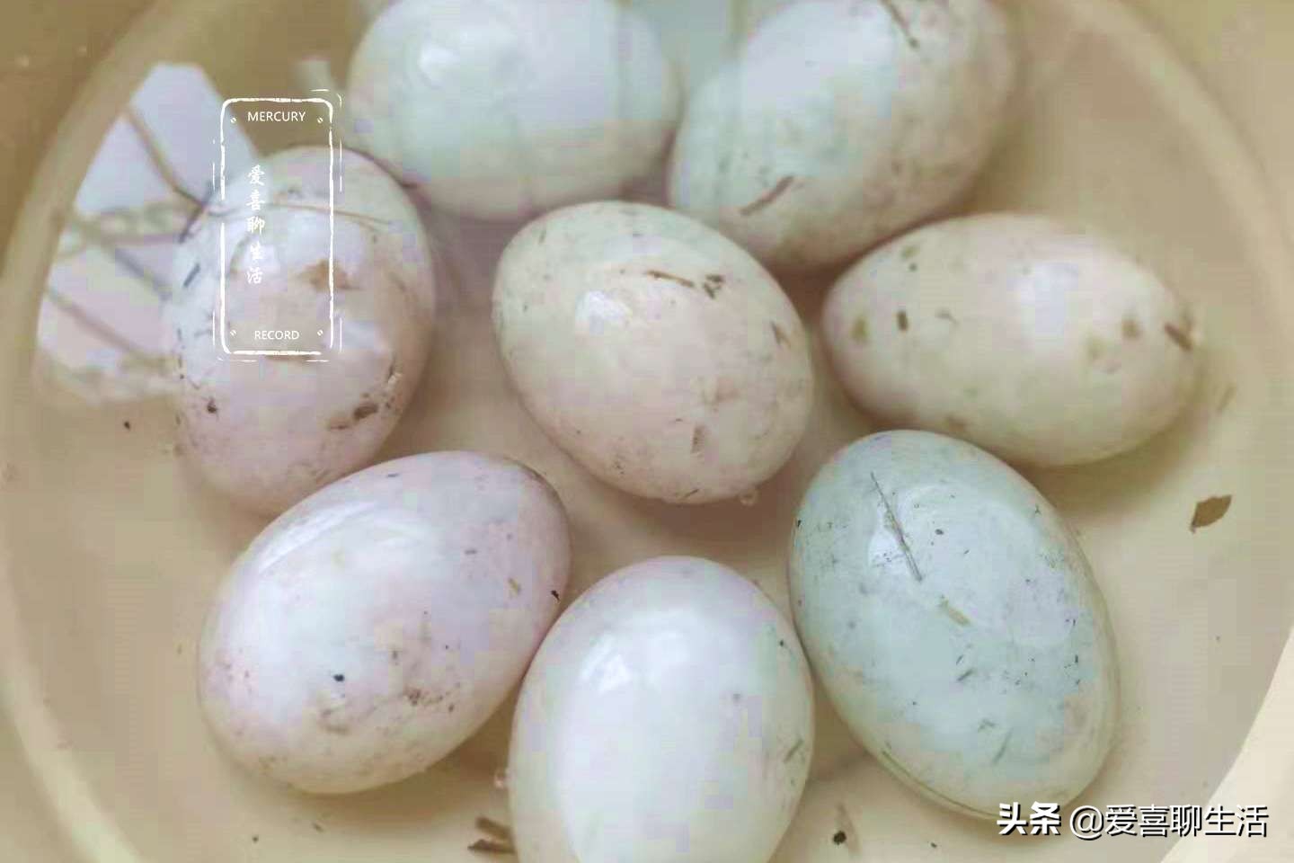 老祖宗的腌制咸鸭蛋的方法,50年腌制咸鸭蛋老方子