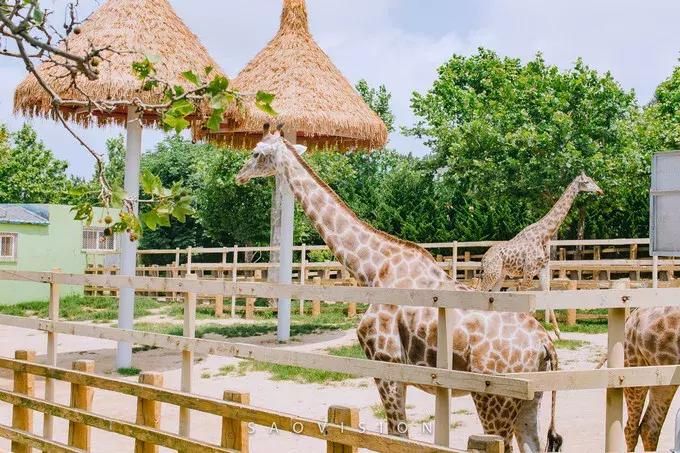 一生必去的中国50个最美原图,一生必去40个中国最美地方